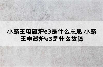 小霸王电磁炉e3是什么意思 小霸王电磁炉e3是什么故障